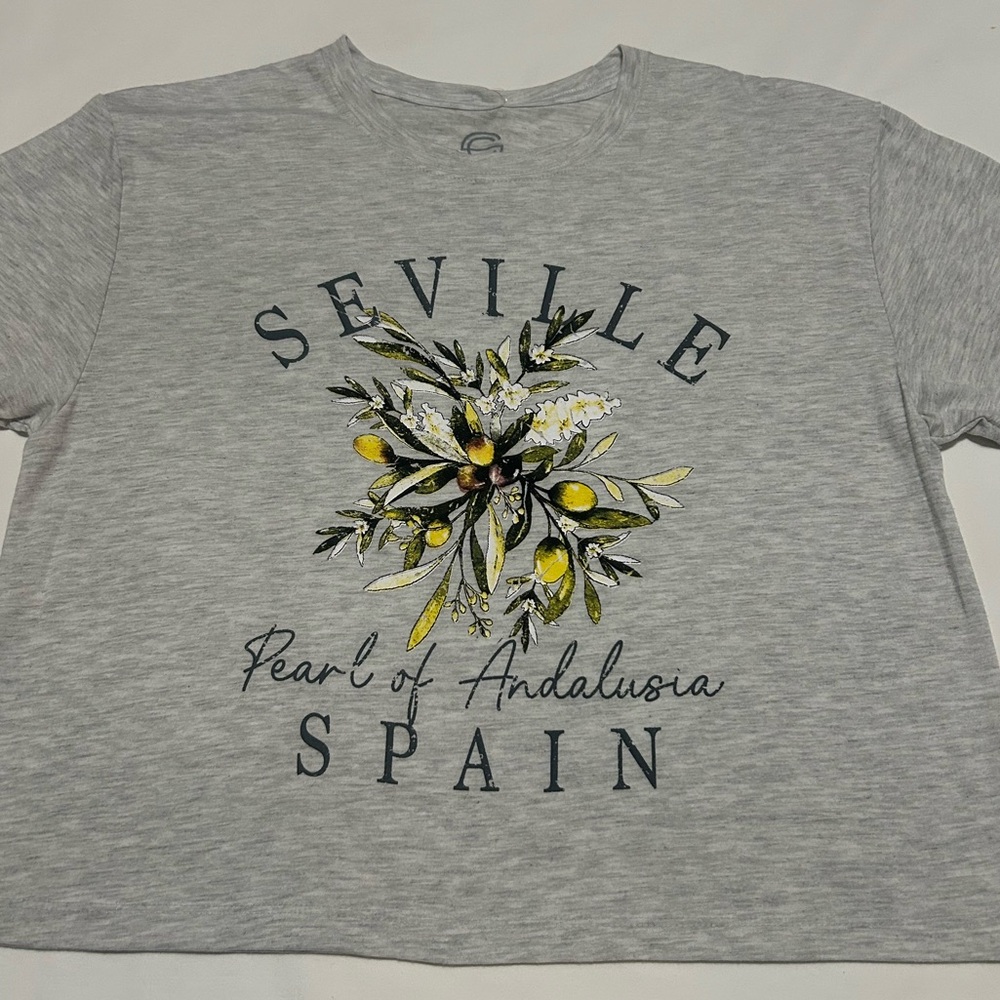 Gray Seville Spain Graphic T-Shirt M NWT